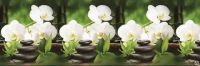 Белые орхидеи 3000*600*1,5 